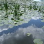 Dscf1521