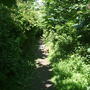Dscf1546