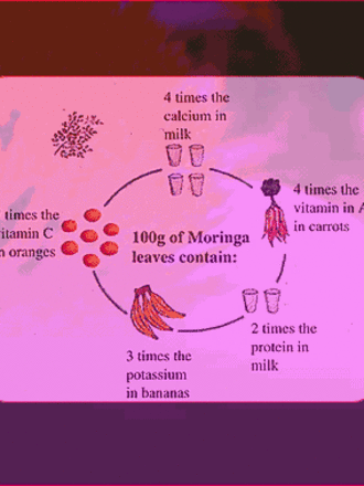 Moringa