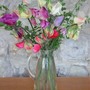 First_pick_of_sweet_peas