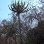 P1010592