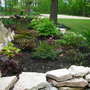 Astilbe_bed