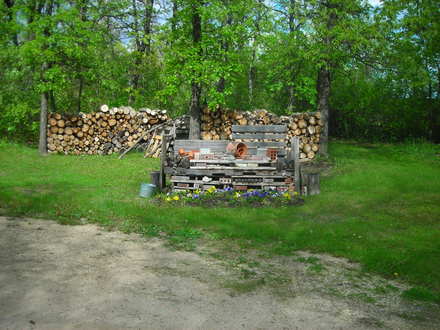 Wood Pile