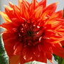 20080612_93