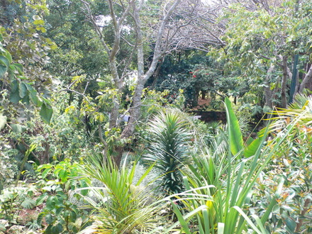 P1000742.jpg