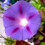P1020241