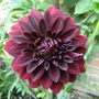 13_june_003