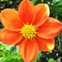 13_june_005
