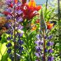 13_june_008
