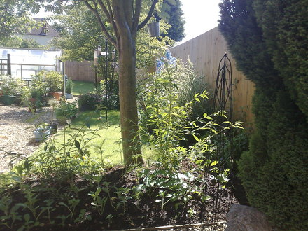 09062008147.jpg