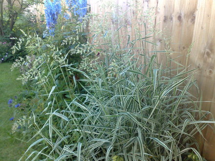 10062008163.jpg