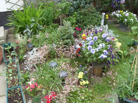 flower bed  