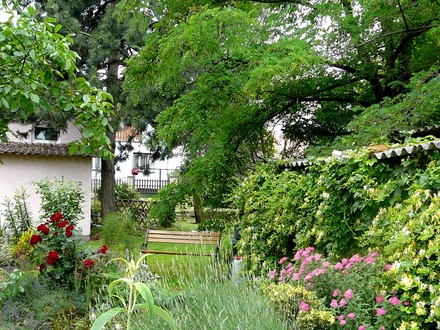 View from near path towards the side garden.