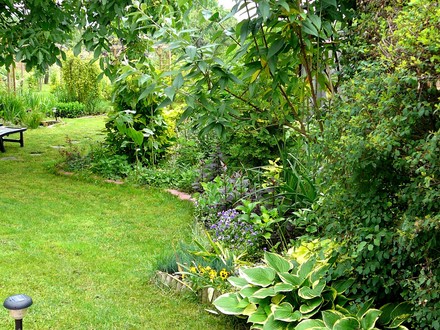 View of right side back garden from round patio