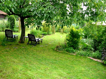 Under the walnut tree in back garden.