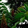 P1020274