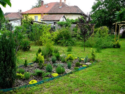 Trees and shrubs...variety.