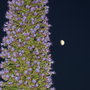 Dscf1665