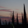 Dscf1663