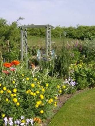 Garden view in June
