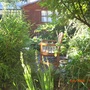 My back garden June 2008