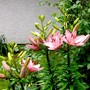 P1020312
