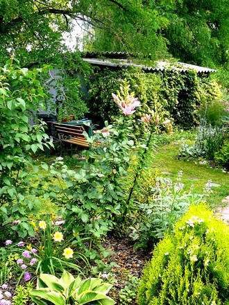 Flower bed in top garden.