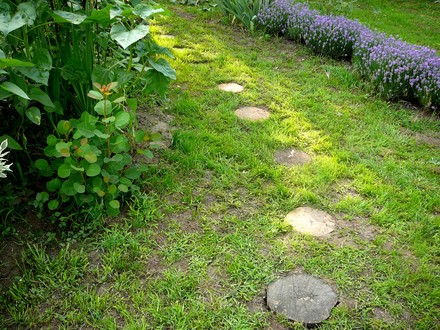 New path. 2nd photo