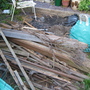 Garden_may_2008_-_30