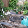 Garden_may_2008_-_31
