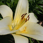 June08_028