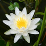 June08_042