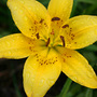 June08_059