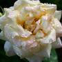 June08_061