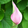 June08_087