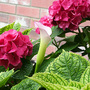 June08_089