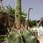 Photo-0307.jpg
