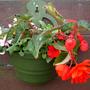 14th_june_010