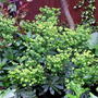 Image0004