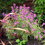 Image0003