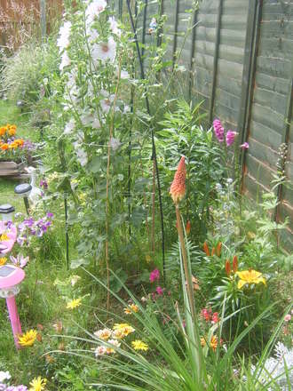 June garden