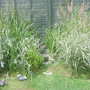 28th_april_08_163