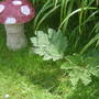 28th_april_08_166