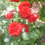 28th_april_08_167