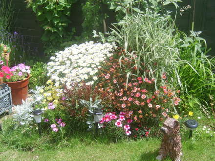 Summer 08