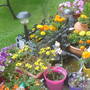 28th_april_08_187