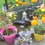 28th_april_08_190
