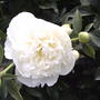 2008-06-15_003