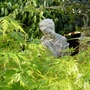 Garden_may_2006_059