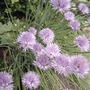 2008-06-15_070